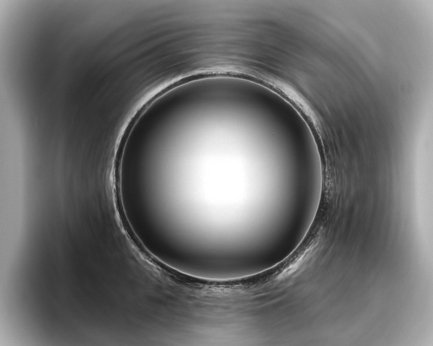 X0000096710951200802051418