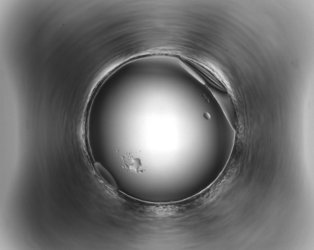 X0000096710952200802051418