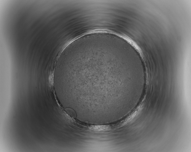 X0000096710953200802051418