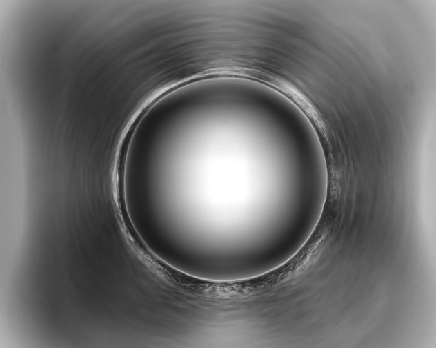 X0000096710955200802051419