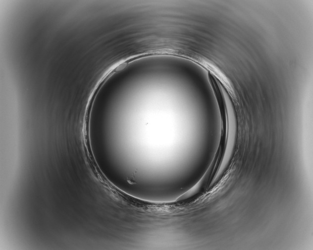 X0000096710956200802051419