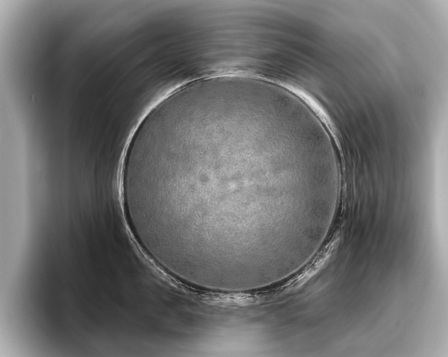 X0000096710957200802051419