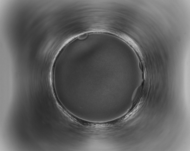 X0000096710958200802051419