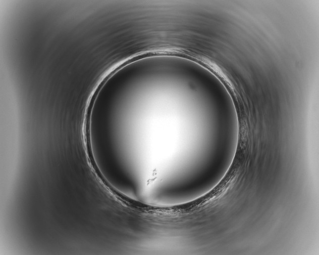 X0000096710959200802051419