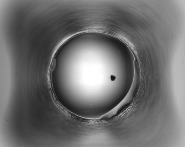 X0000096710960200802051419