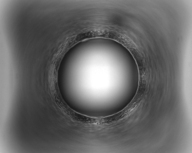 X0000096710961200802051418