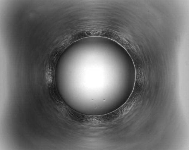 X0000096710962200802051418