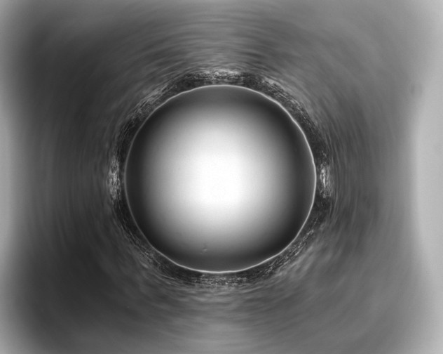 X0000096710963200802051418