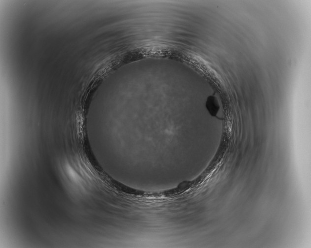 X0000096710964200802051418