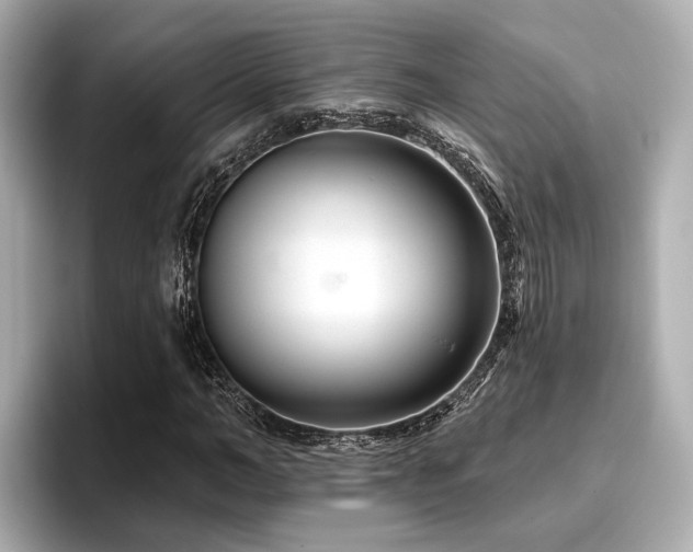 X0000096710966200802051418