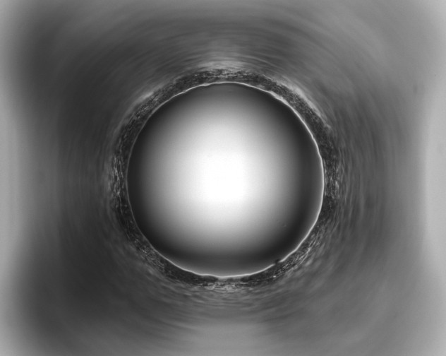 X0000096710967200802051418