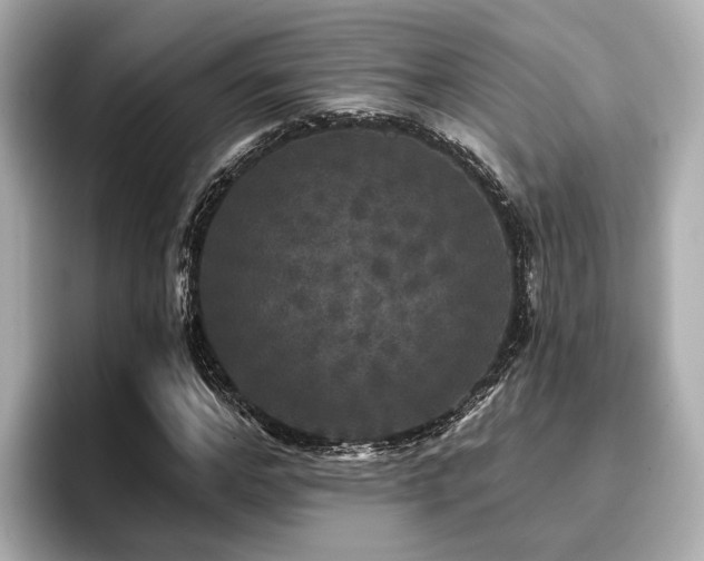 X0000096710968200802051418