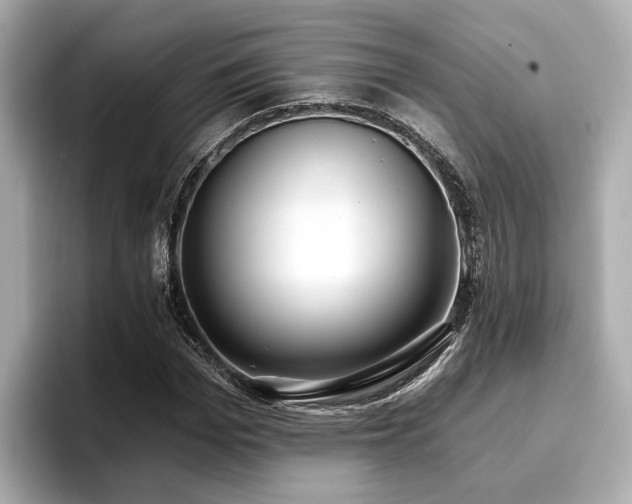 X0000096710969200802051418