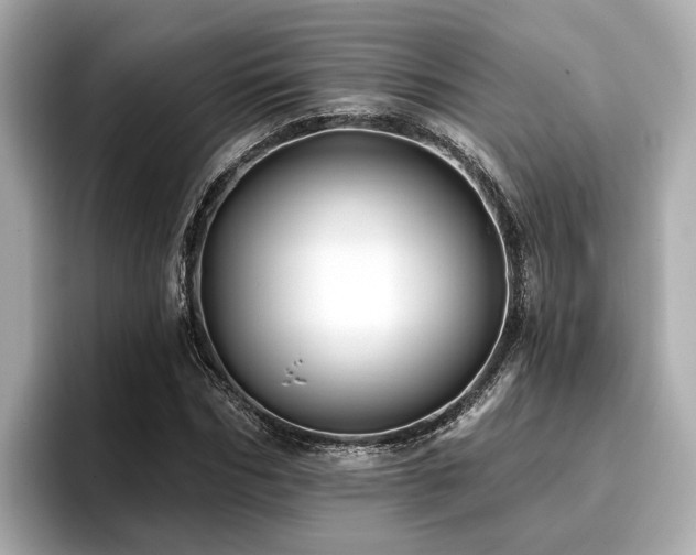 X0000096710970200802051418