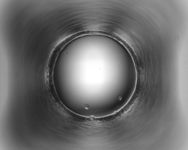 X0000096710971200802051418