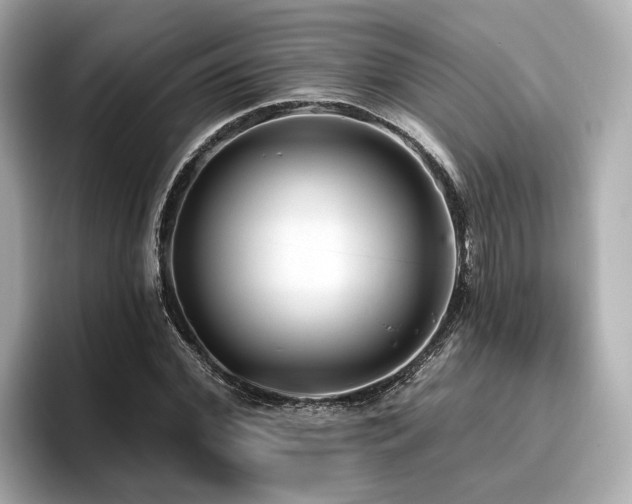 X0000096710972200802051418