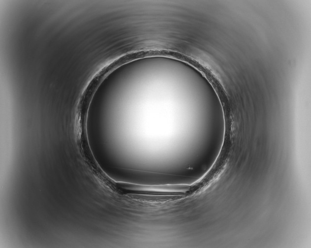 X0000096710973200802051418