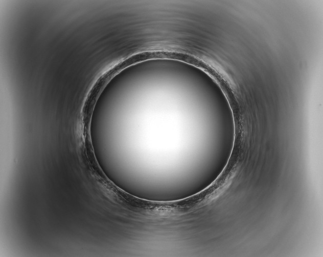 X0000096710974200802051418