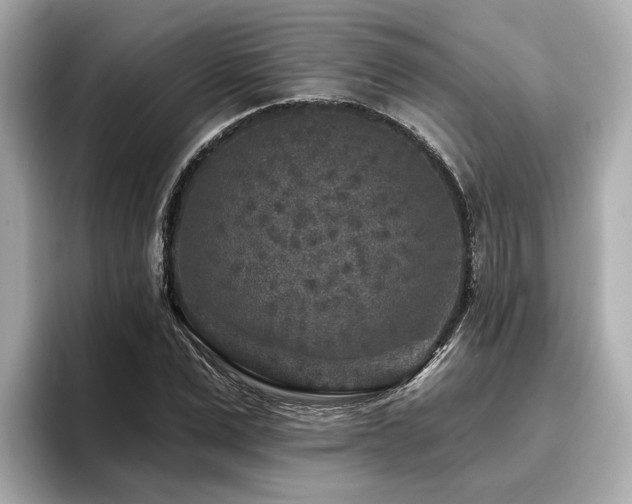 X0000096710975200802051418