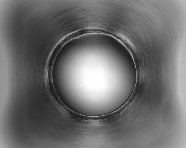 X0000096710976200802051418