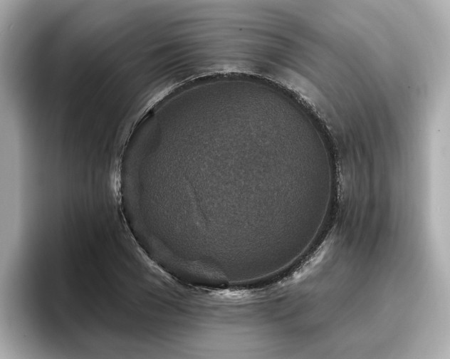 X0000096710977200802051417