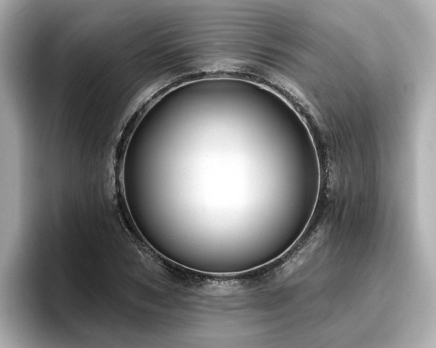 X0000096710978200802051417