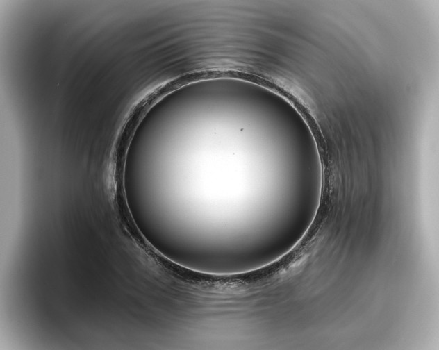 X0000096710979200802051417