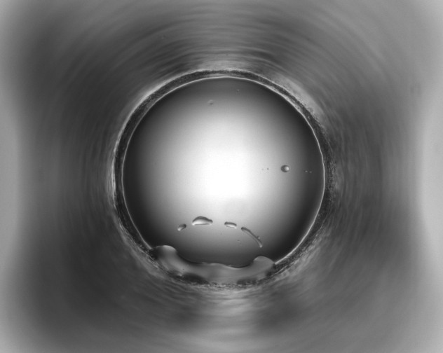 X0000096710980200802051417