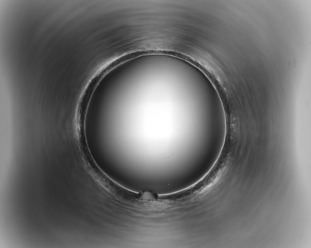 X0000096710981200802051417