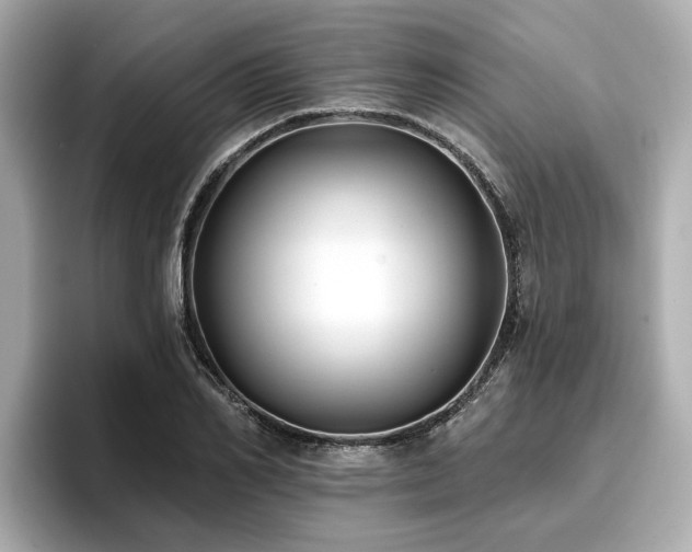 X0000096710982200802051417