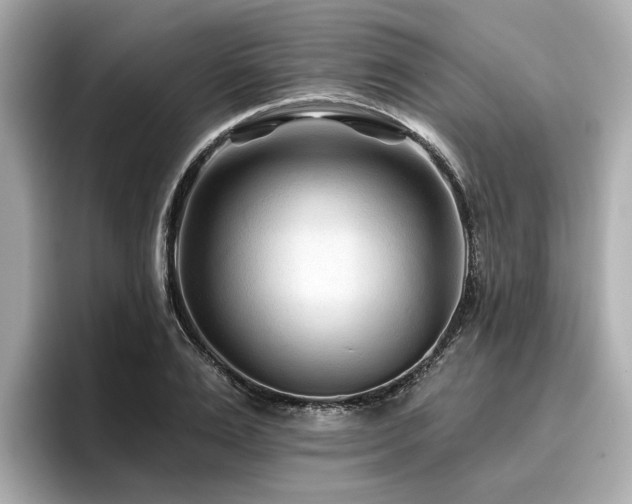 X0000096710983200802051417