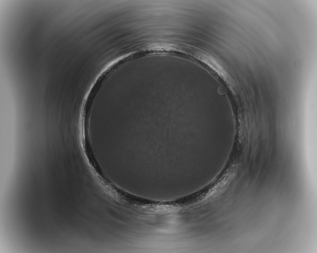 X0000096710984200802051417