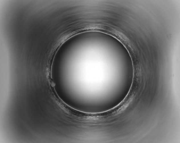 X0000096710985200802051417