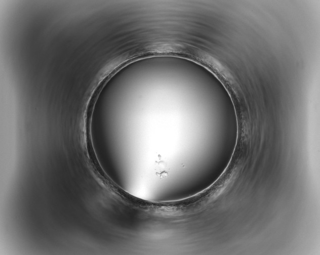 X0000096710986200802051417