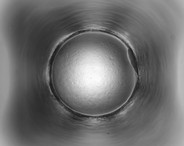 X0000096710987200802051417