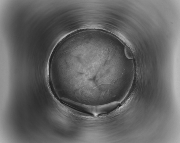 X0000096710988200802051417