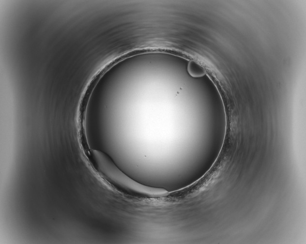 X0000096710990200802051417