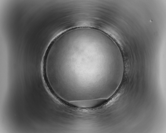 X0000096710991200802051417