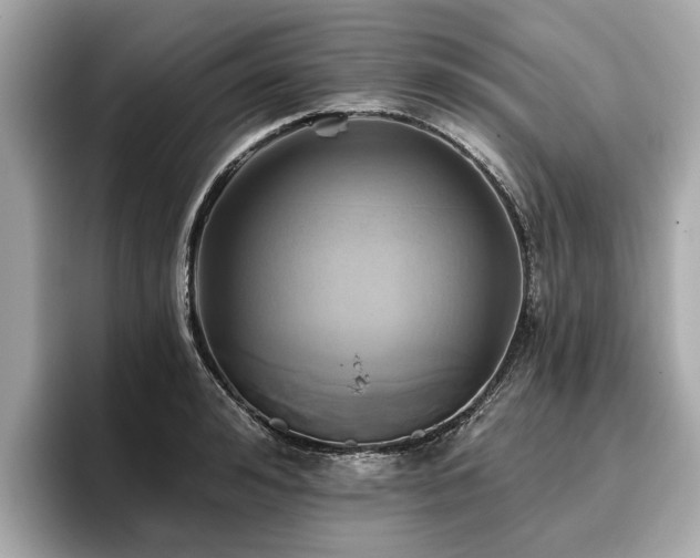 X0000096710992200802051417