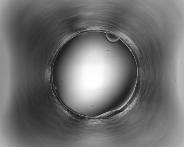 X0000096710993200802051417