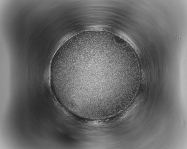 X0000096710994200802051417