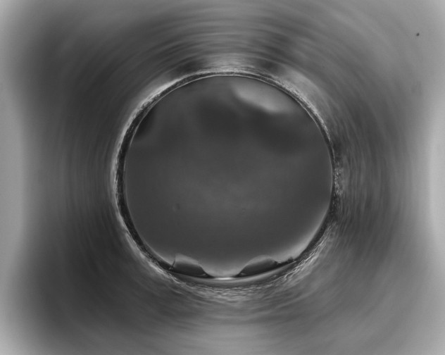 X0000096710995200802051417