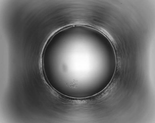 X0000096710996200802051417