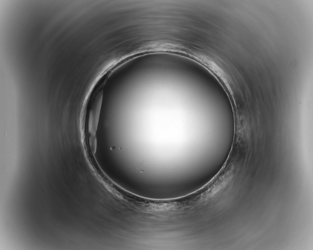 X0000096710997200802051417