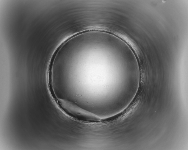 X0000096710999200802051417