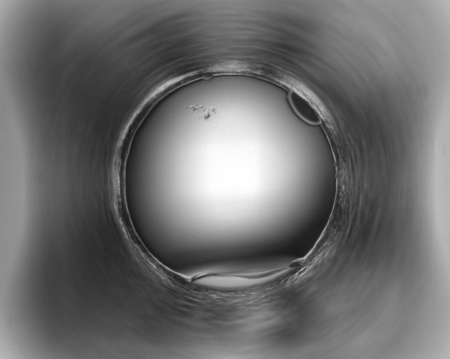 X0000096711000200802051417