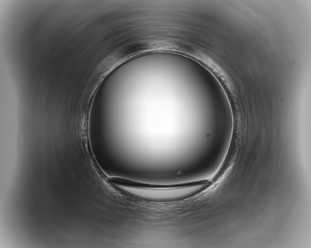 X0000096711001200802051417