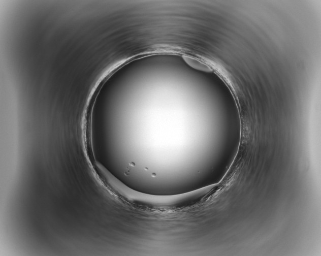 X0000096711003200802051417