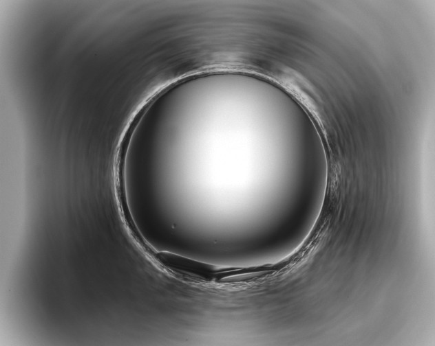 X0000096711005200802051417