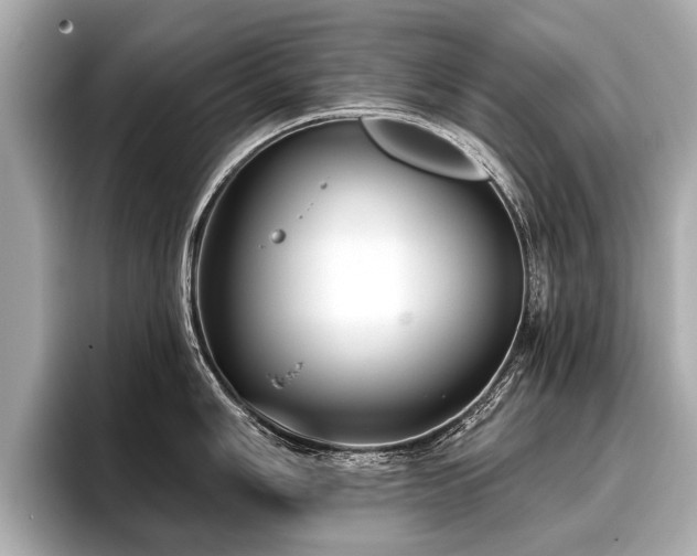 X0000096711006200802051417